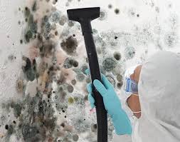 Best Mold Remediation for Healthcare Facilities  in Livingston, MT